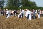 bl_Jaszapatiak_barati_egyesulete___Aratonap.jpg